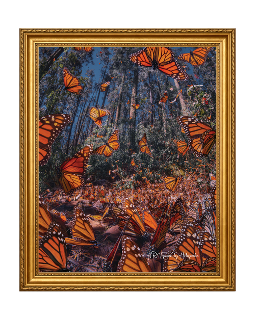 Butterflies T-Shirt