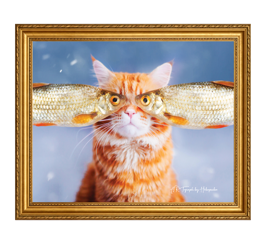 Fisheye Cat T-Shirt