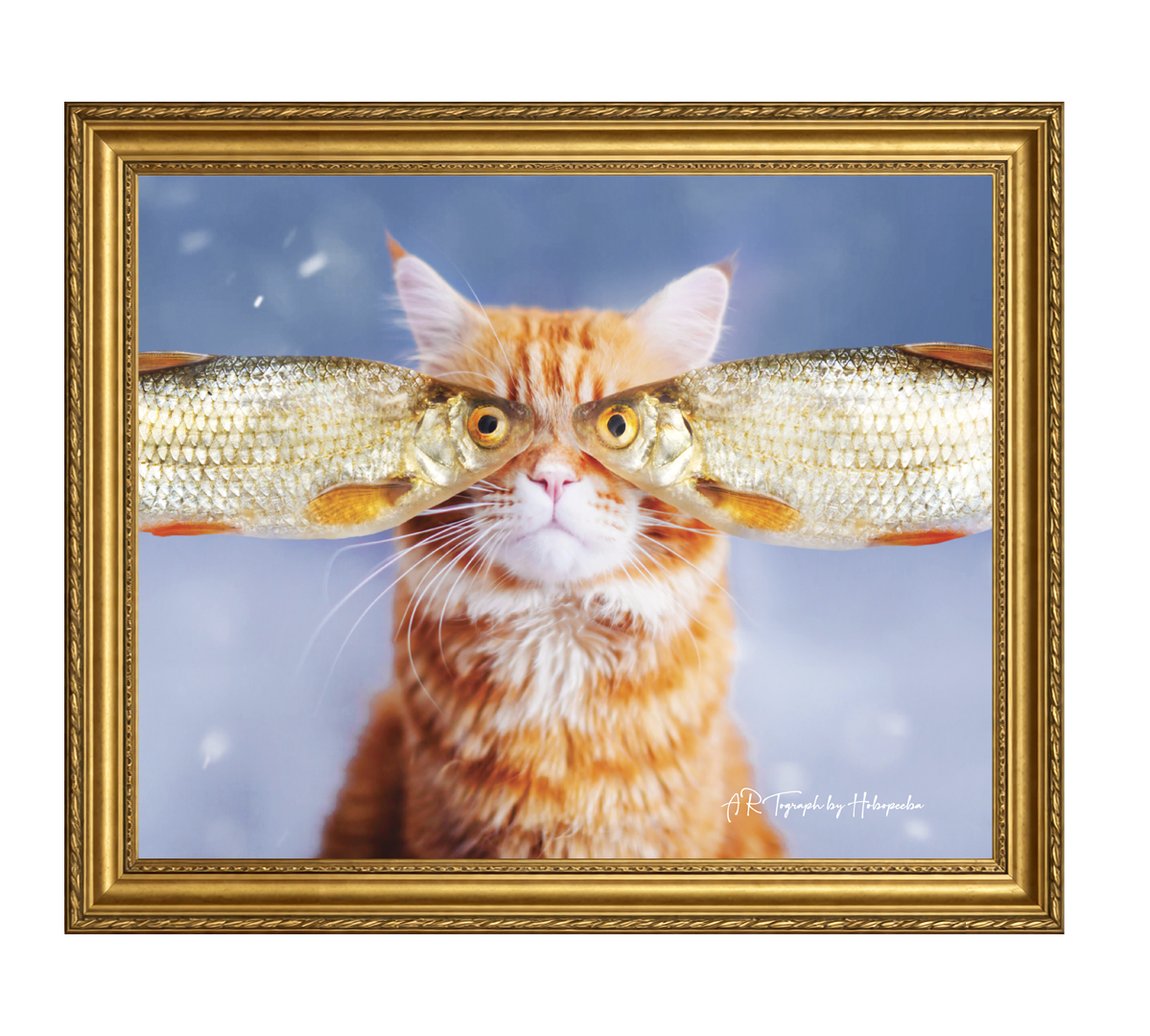 Fisheye cat T-Shirt